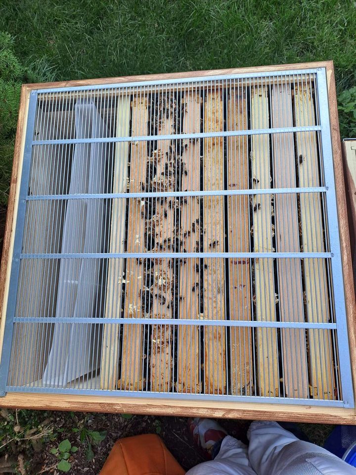 Eingelebt und angekommen Bild 1