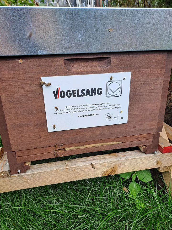 Eingelebt und angekommen Bild 2