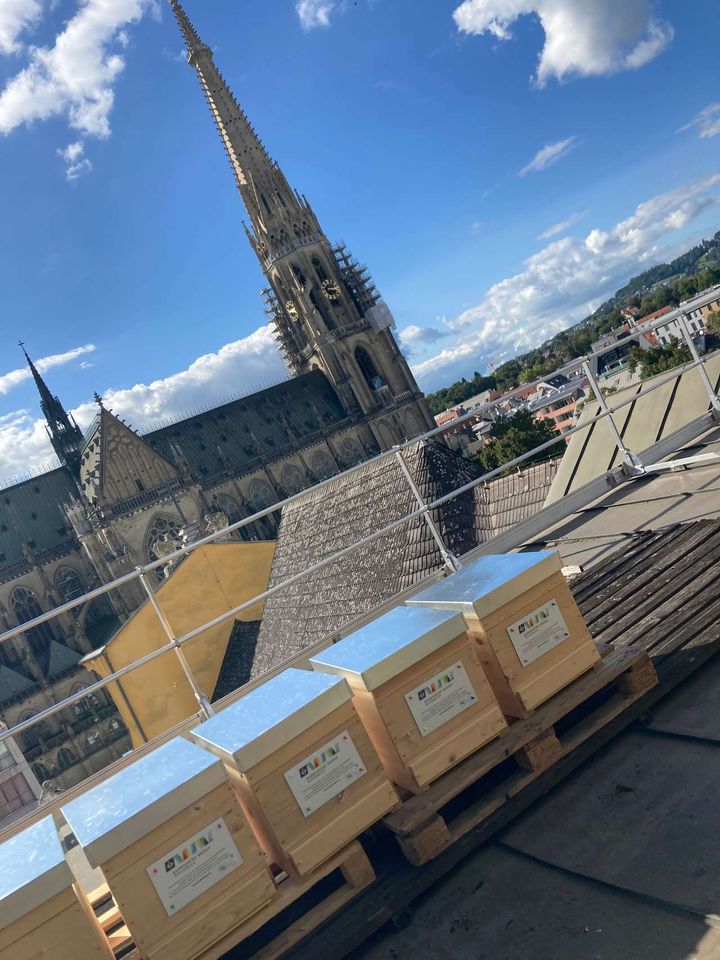 Schilder angebracht und Varroakontrolle