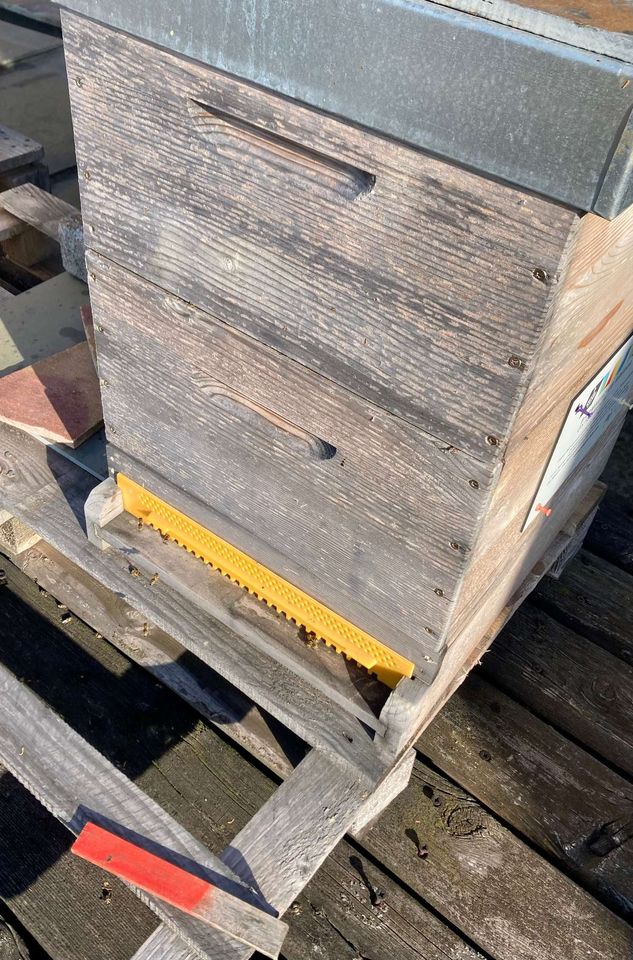 Futterkontrolle auch in Linz