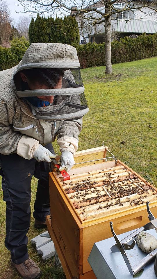 Faulbrutmonitoring Bild 2