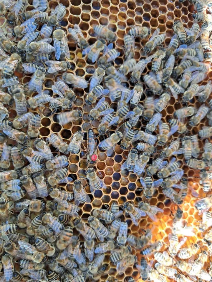 gut eingelebt Bild 2