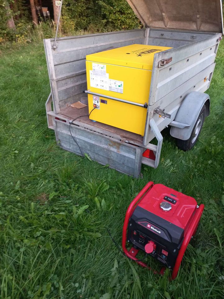 Ardex Firmen Bienen! Bild 3