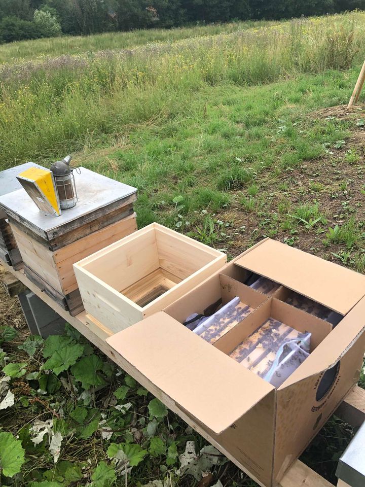 Die DAS Projektbienen beziehen ihr Zuhause