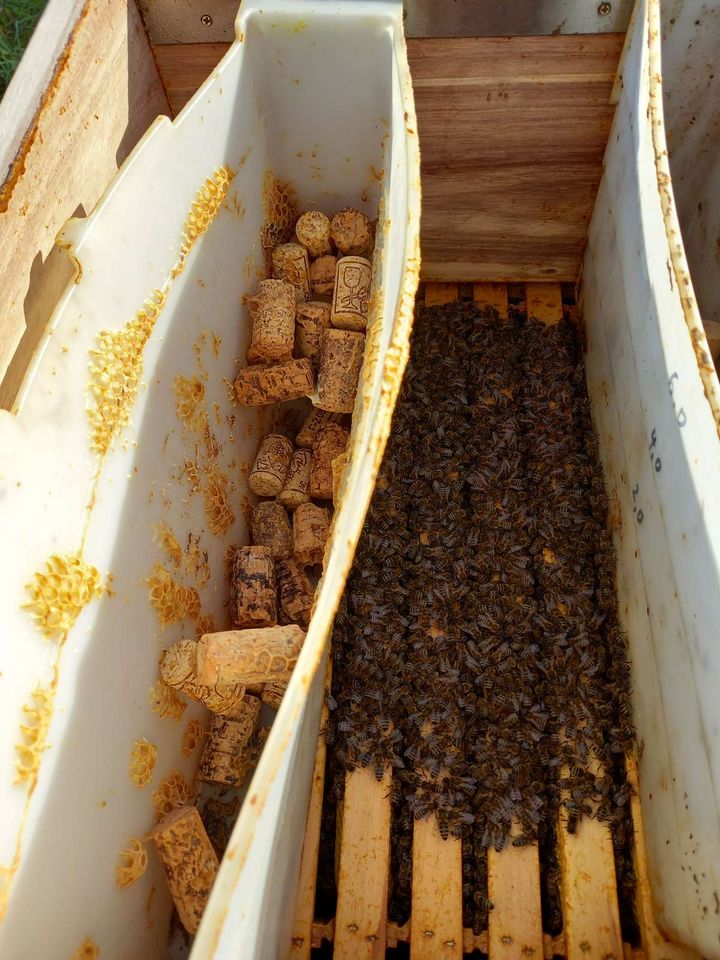 Der Winter steht bevor Bild 1