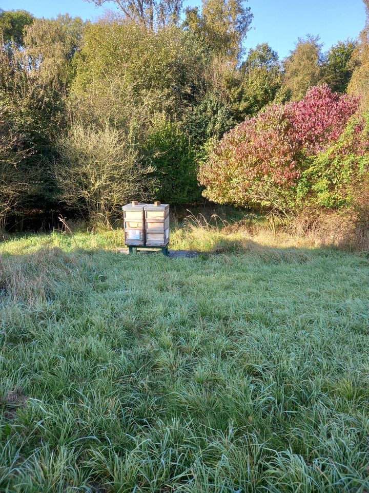 Der Winter steht bevor Bild 2