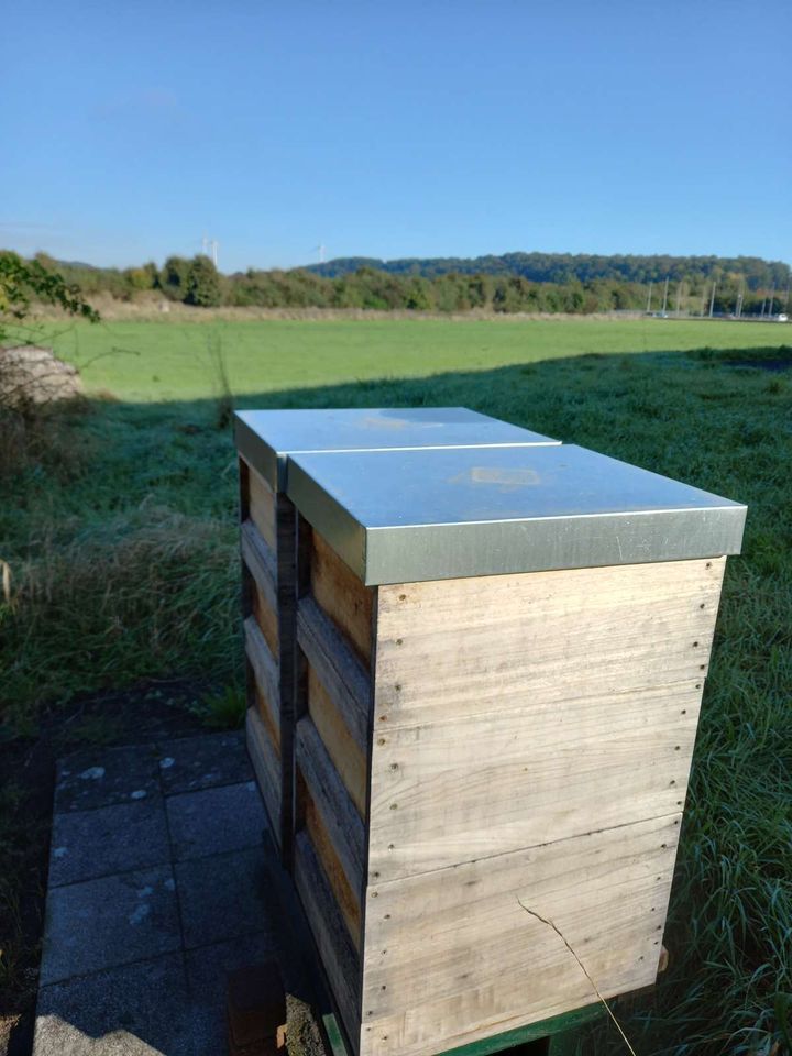 Der Winter steht bevor Bild 3