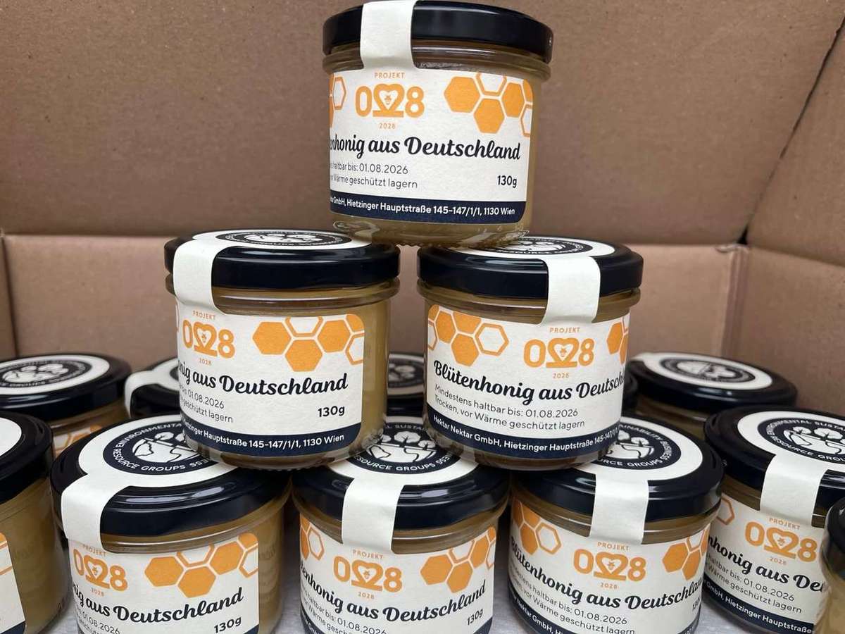 Honig Ernte und Verarbeitung Bild 3