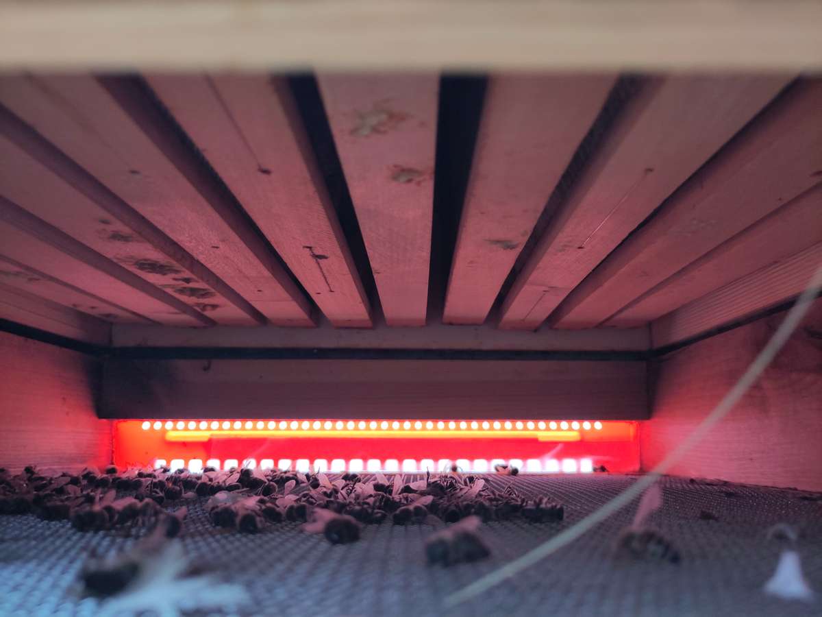 Erfolgreiche Einwinterung Bild 2