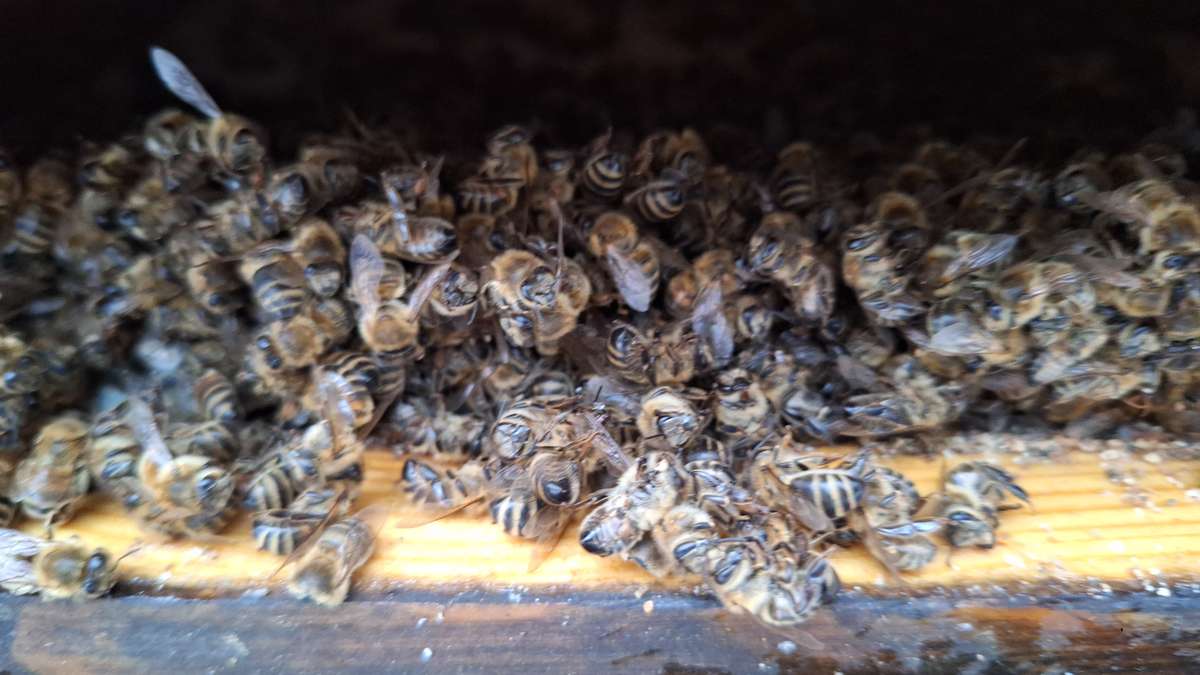 Januar – Tiefe Winterruhe am Standort Eutin Bild 2