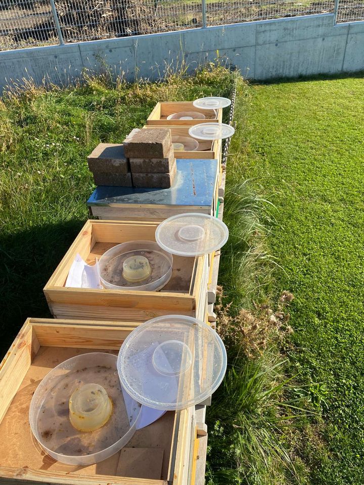 Gute Nacht fleißige Bienen,