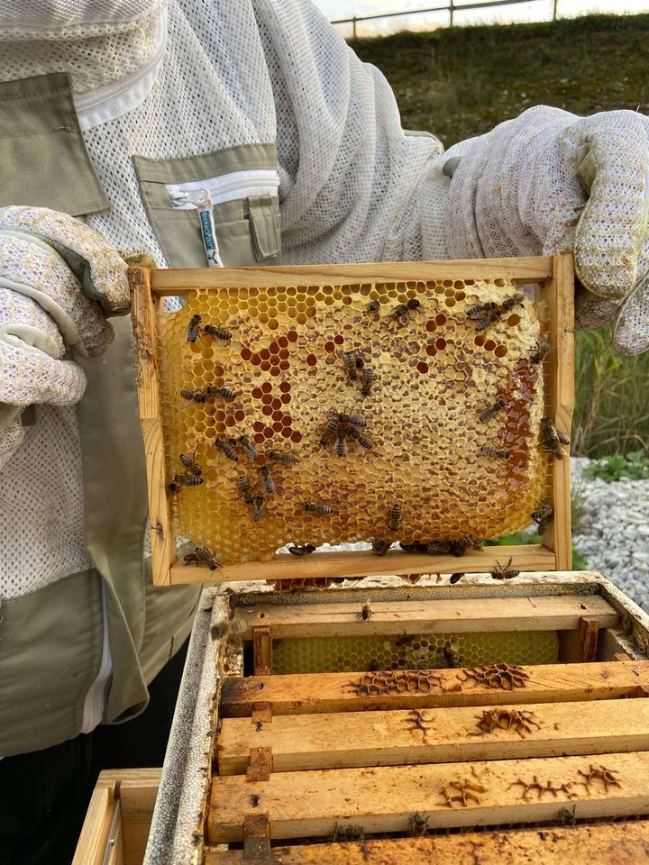 Die letzten Futterkontrollen und die ersten Aufgaben der Nebensaison Bild 3