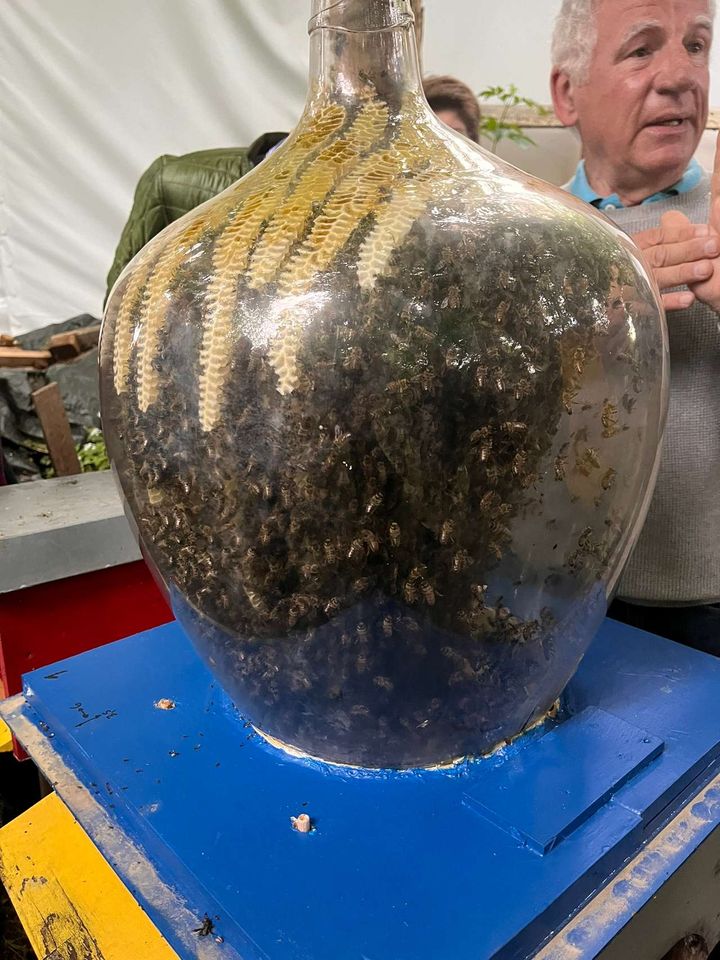 sieht nach guter Ernte aus