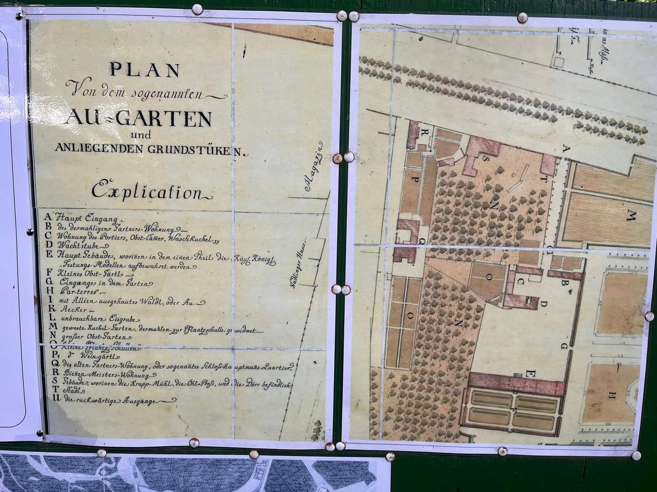 sieht nach guter Ernte aus Bild 2