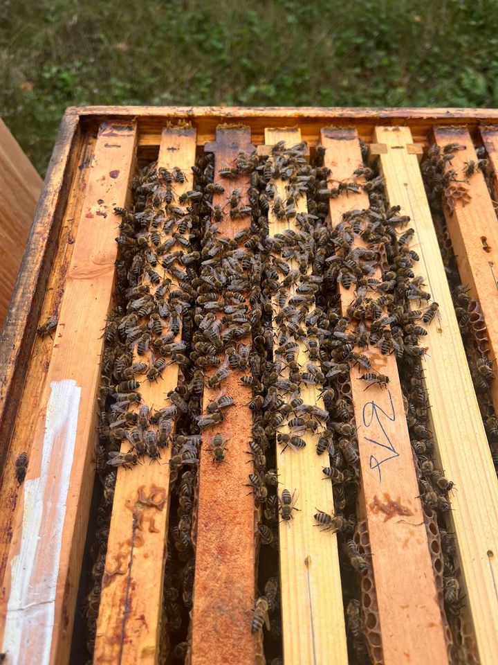 Zeit für Weiterbildung