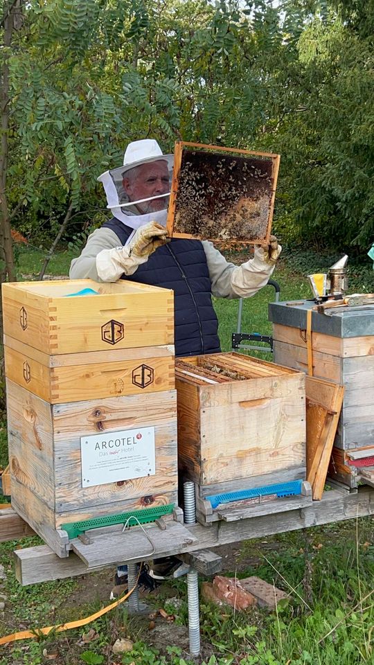 Wintervorbereitungen und Varroa-Problem