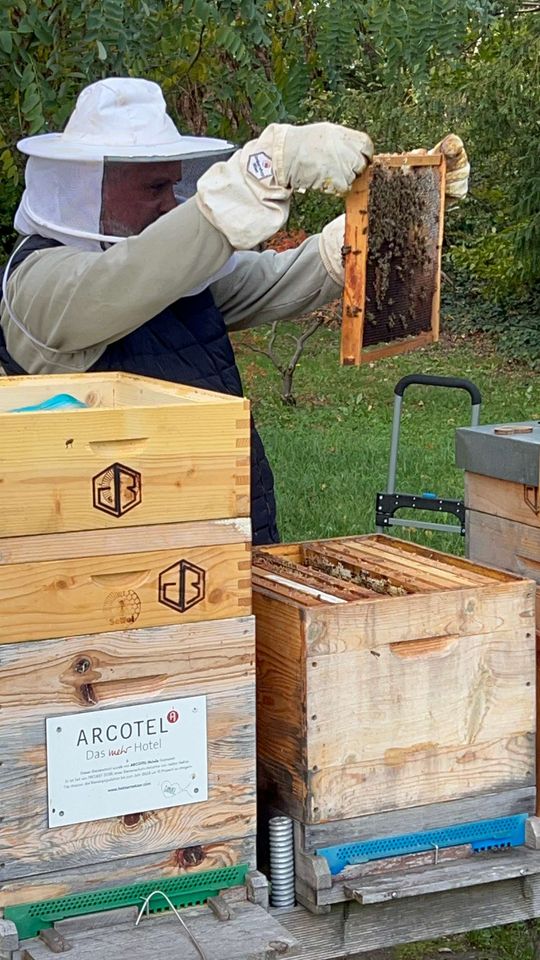 Wintervorbereitungen und Varroa-Problem Bild 1