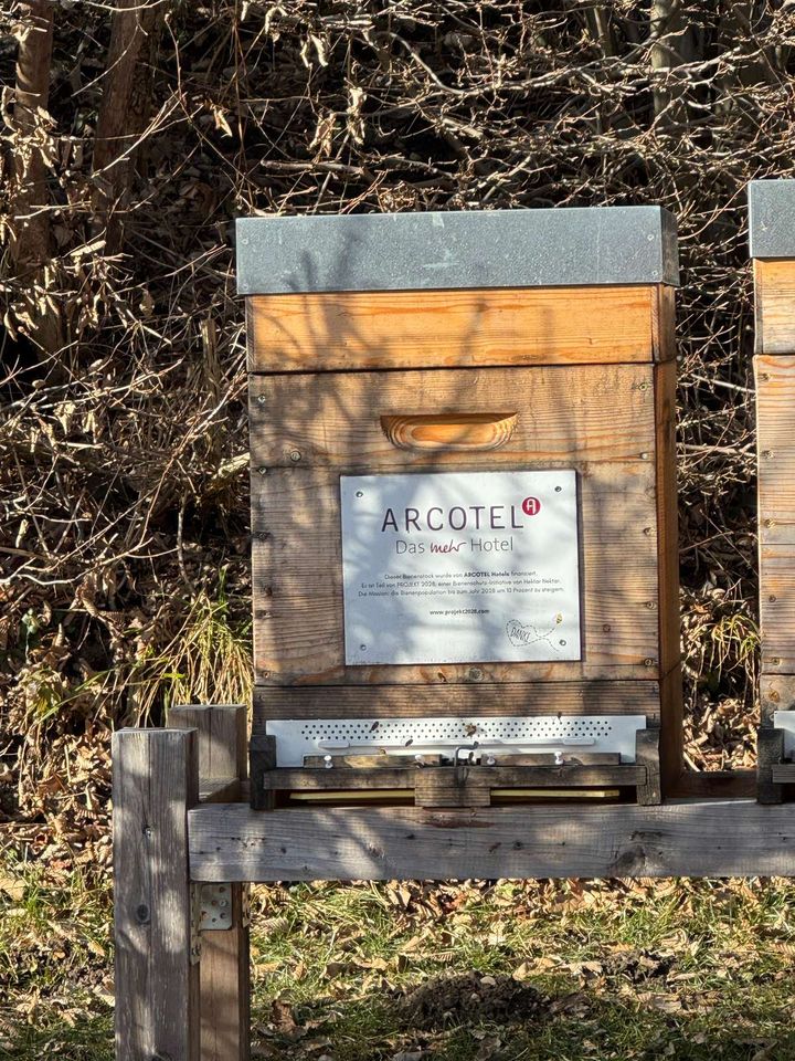 Die ersten Reinigungsflüge stehen an 🐝🌸