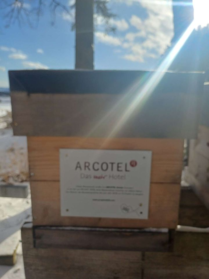 Neujahrsempfang Bild 1