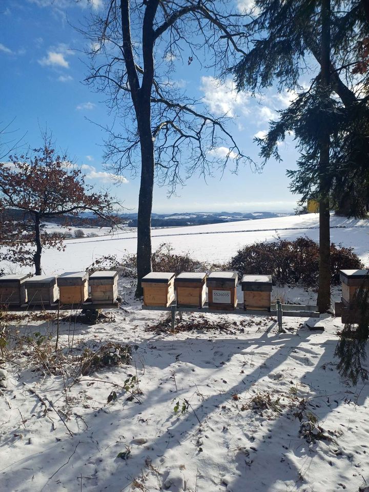 Neujahrsempfang Bild 2