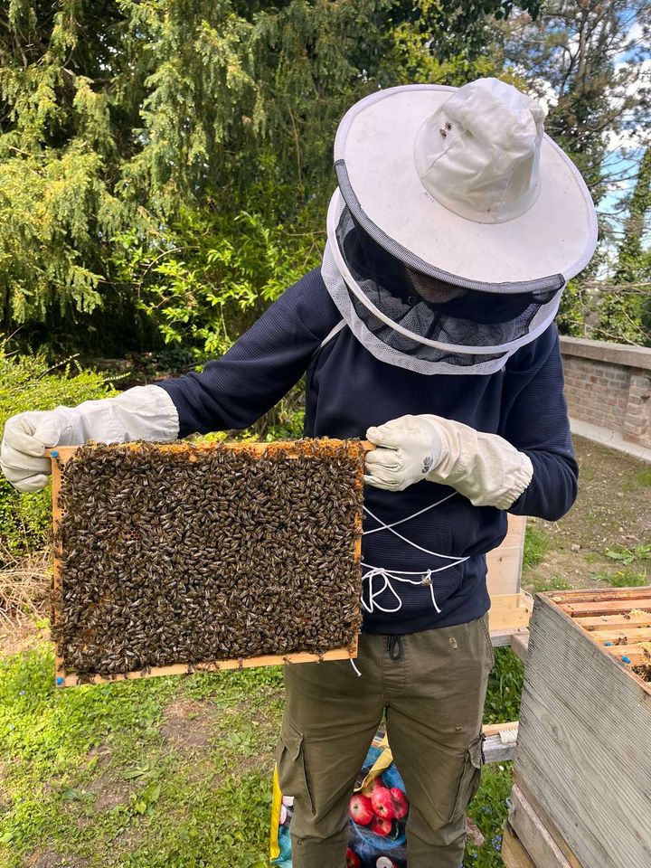 Nach dem frühen Sommerstart kommt gefühlt der Herbst