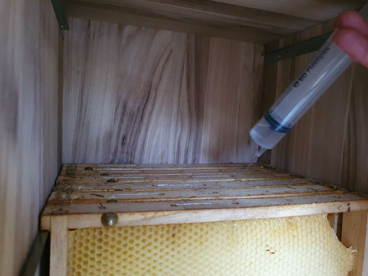 Die Winterbehandlung