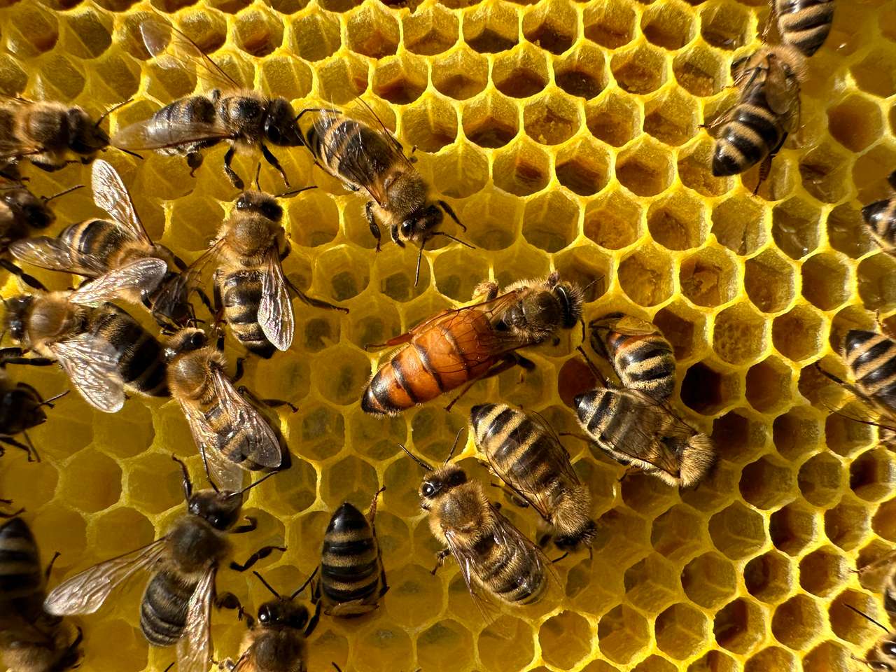 Frühlingsgefühle im Mai Bild 1