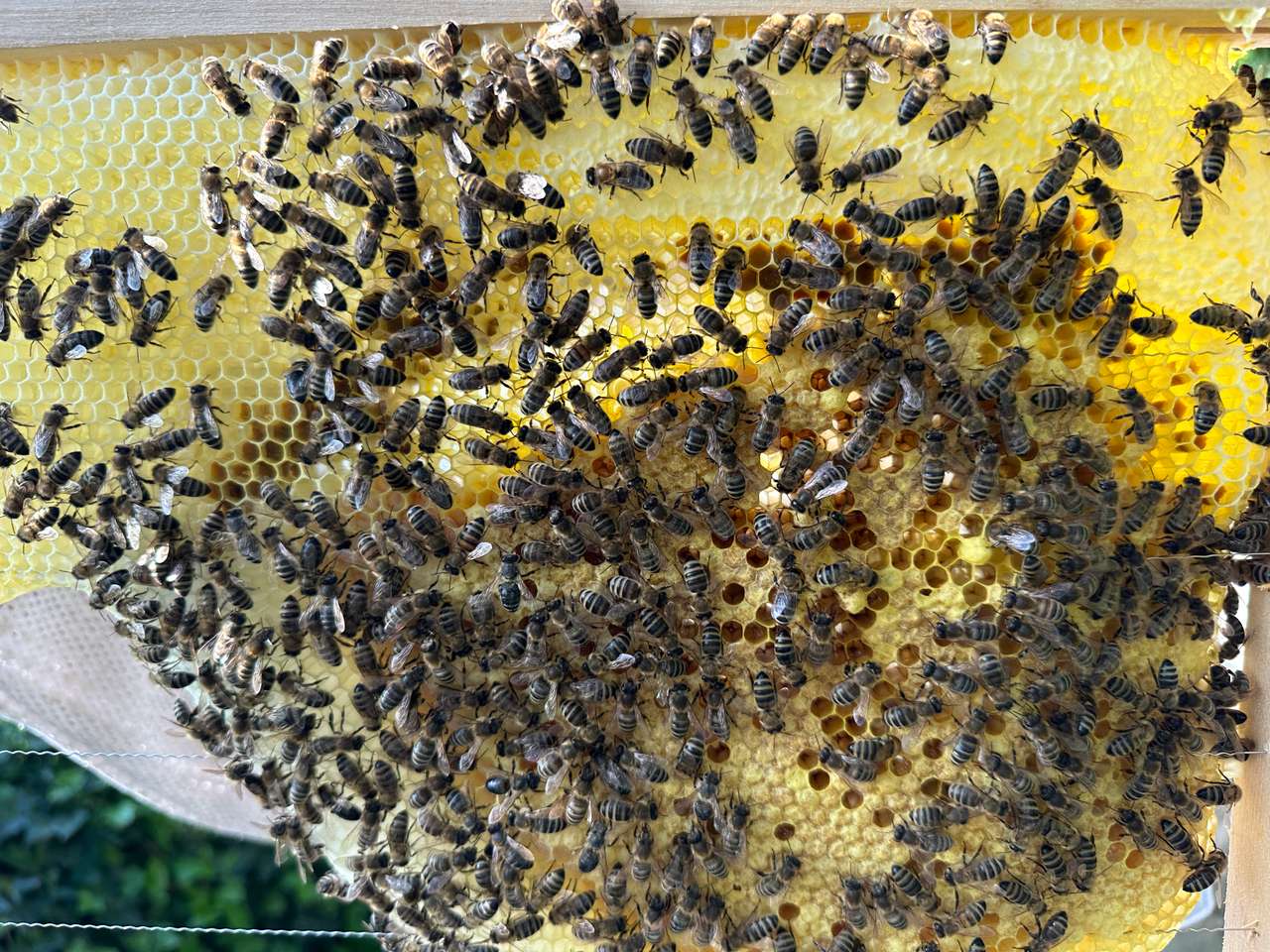 Frühlingsgefühle im Mai Bild 2