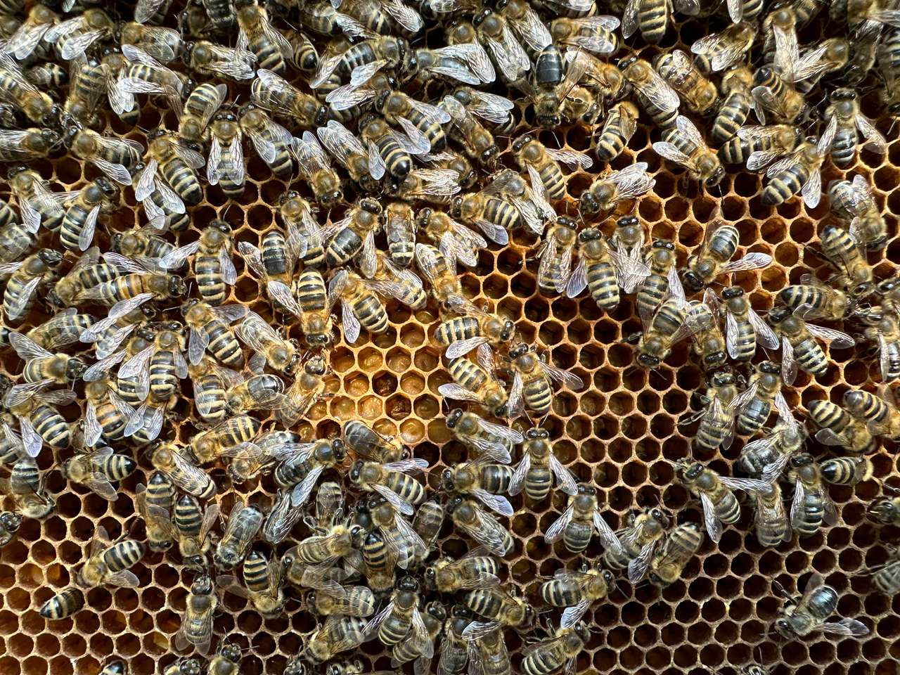 Frühlingsgefühle im Mai Bild 3