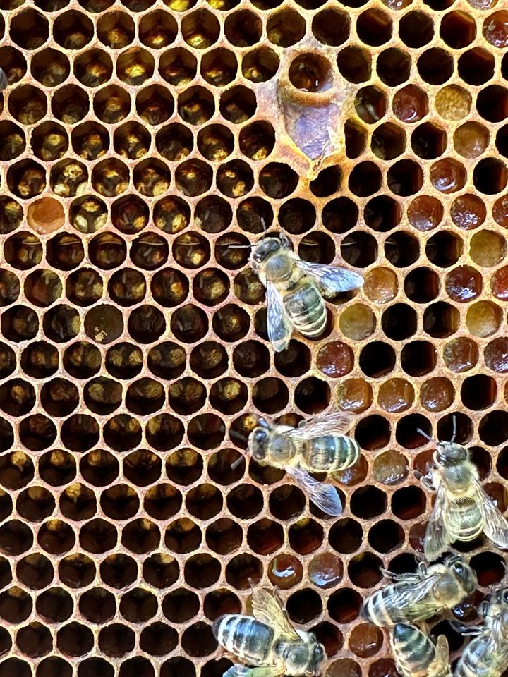 Frühlingsgefühle im Mai Bild 4