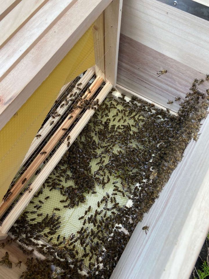 Frühlingsgefühle im Mai Bild 5