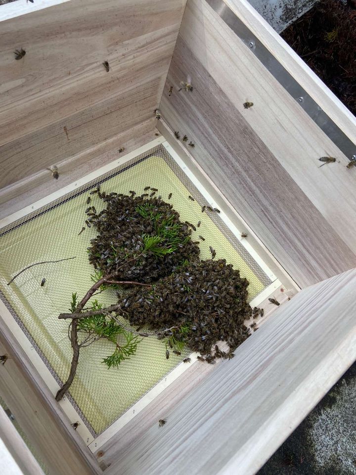 Frühlingsgefühle im Mai Bild 6