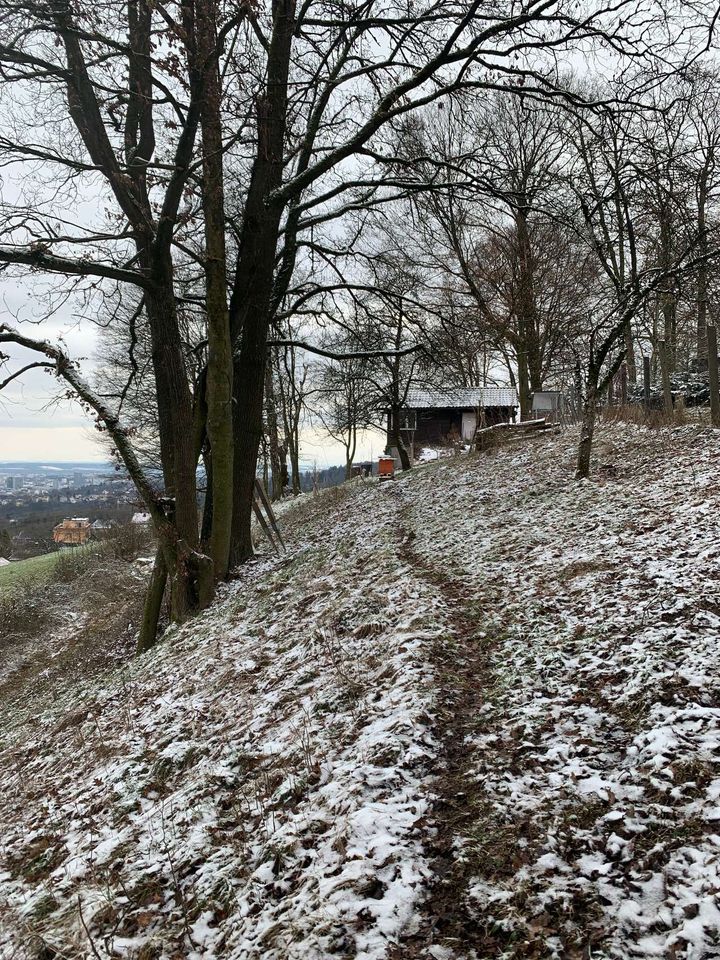 Die Ruhe vor dem Sturm