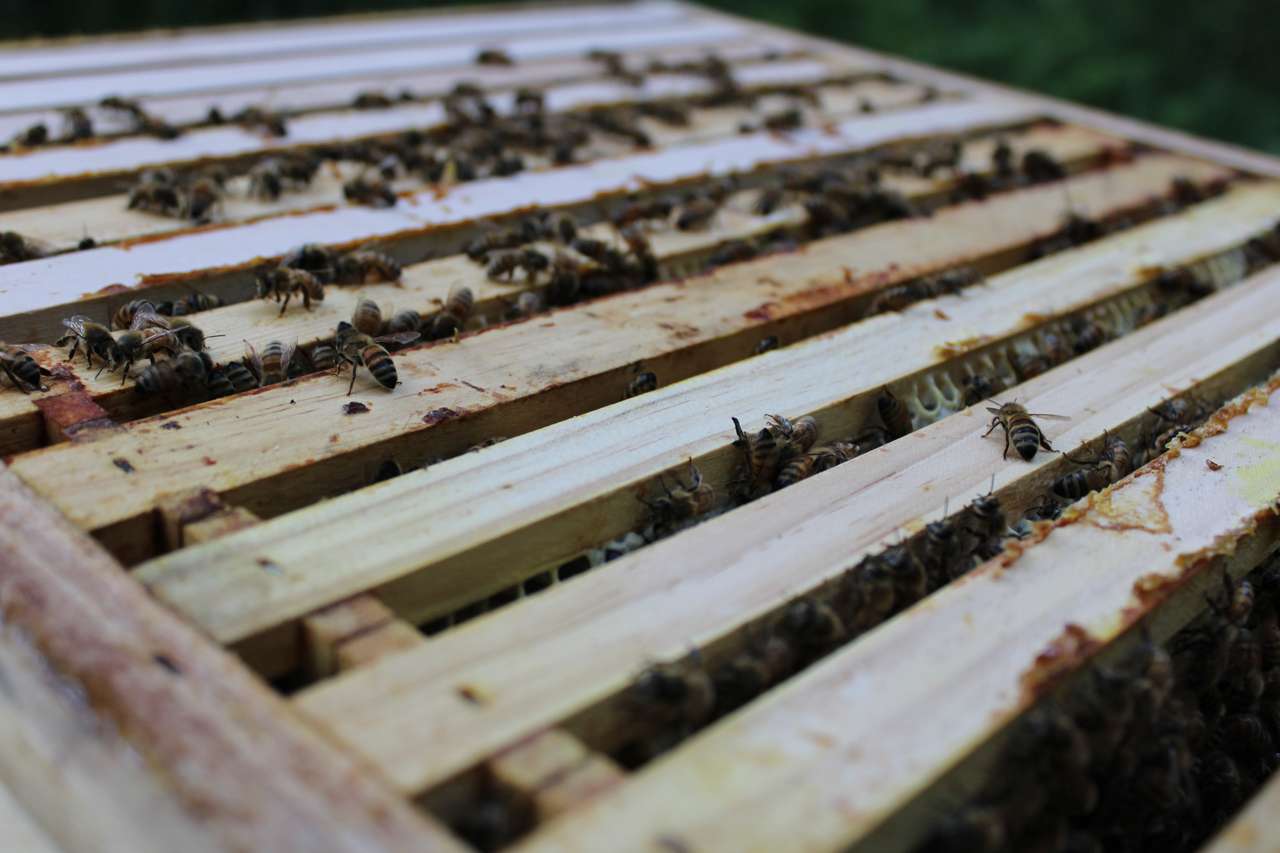 Die ersten Vorbereitungen für den Winter Bild 1