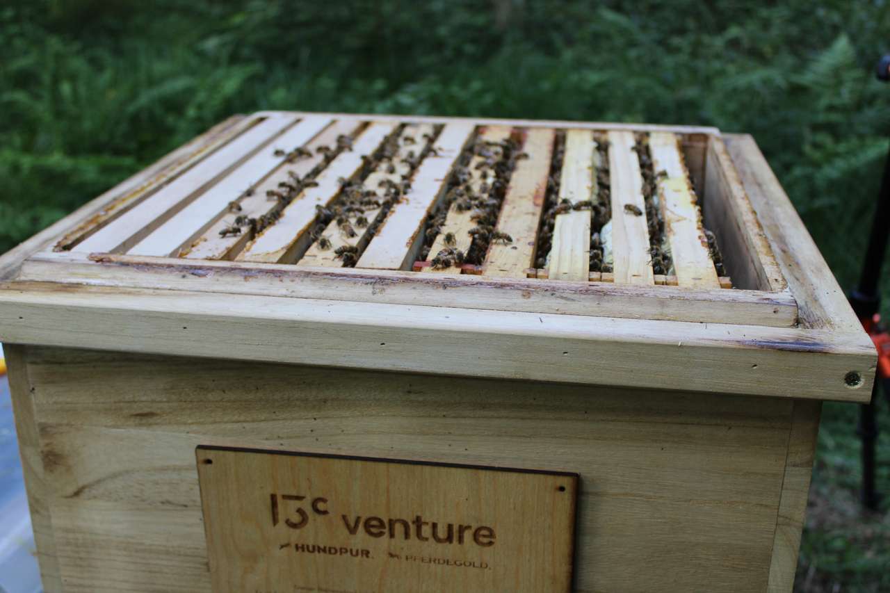 Die ersten Vorbereitungen für den Winter Bild 2