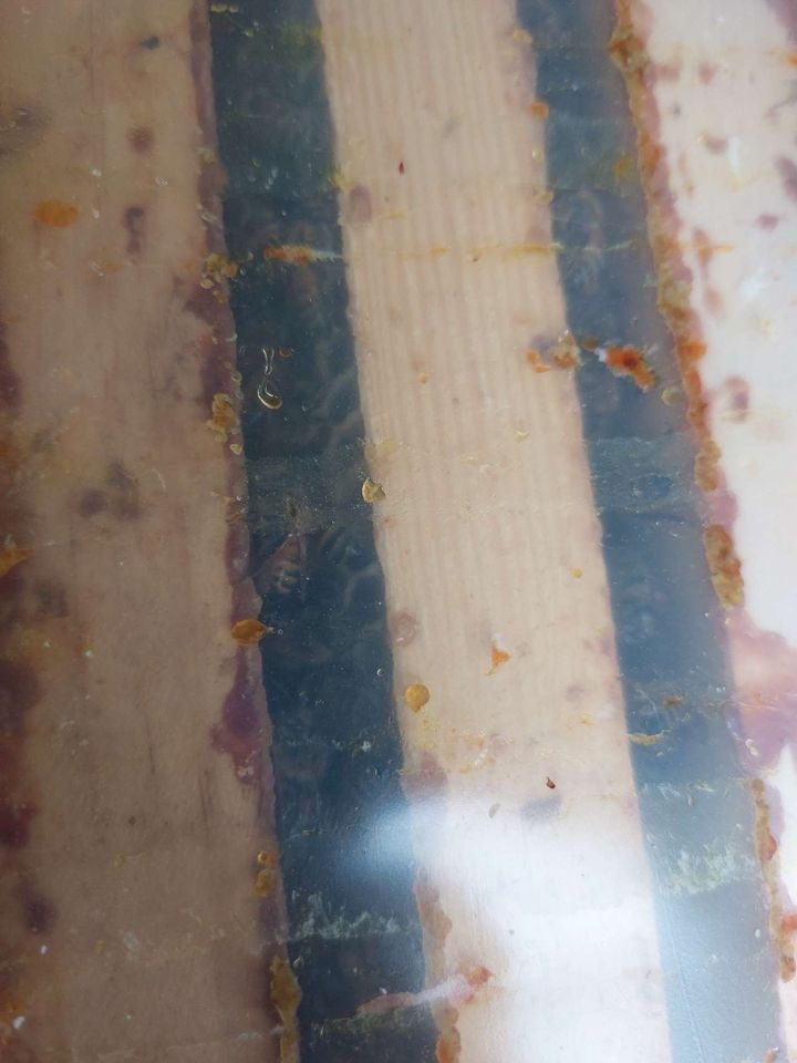 Bienen hinter Gitter Bild 1