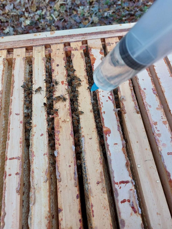 Kontrolle und Restentmilbung Bild 1