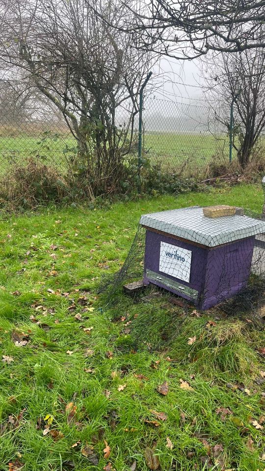 Wintertraube đ„¶đ Bild 1