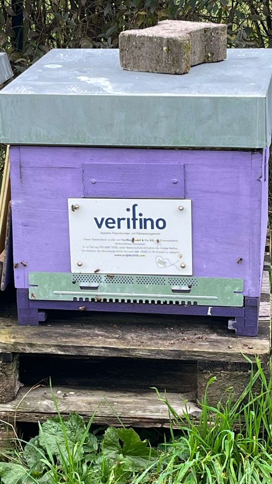 Wintertraube đ„¶đ Bild 3