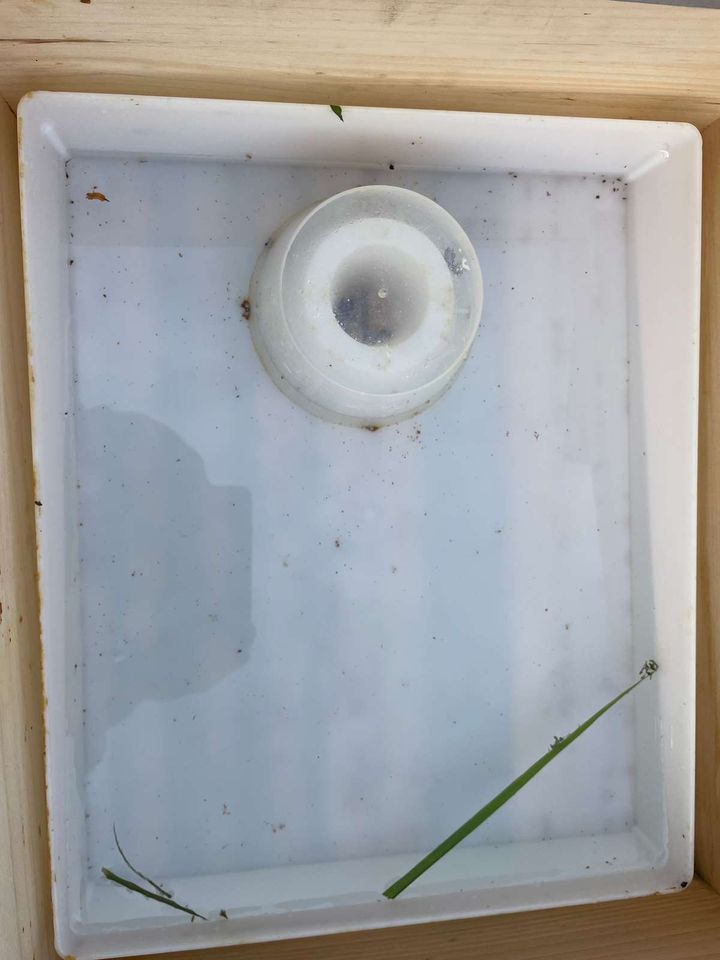 Füttern, füttern, füttern Bild 1