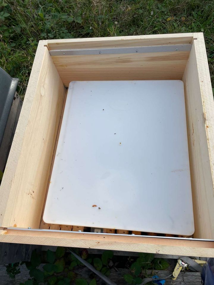 Füttern, füttern, füttern Bild 2