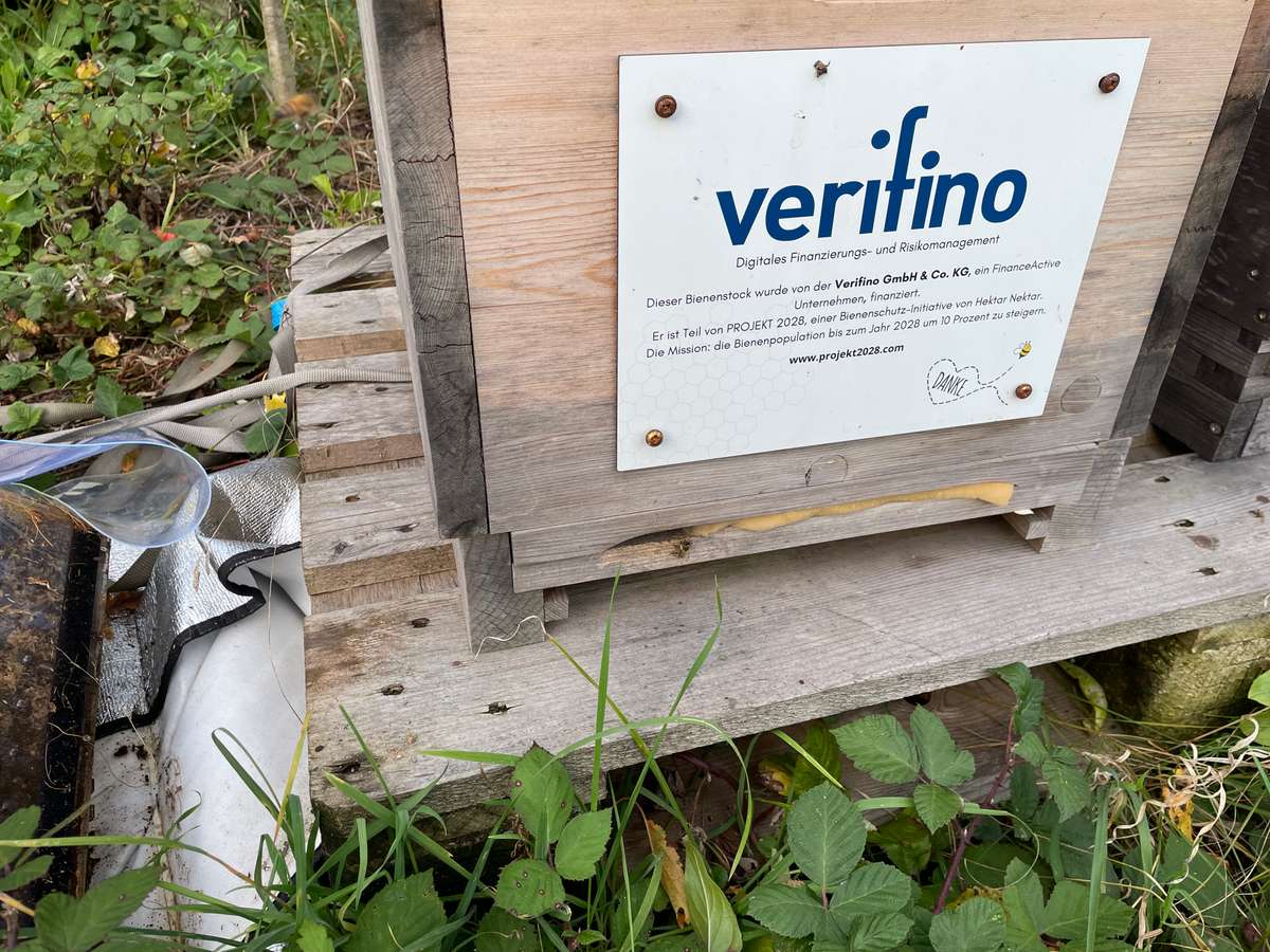 Füttern, füttern, füttern Bild 3