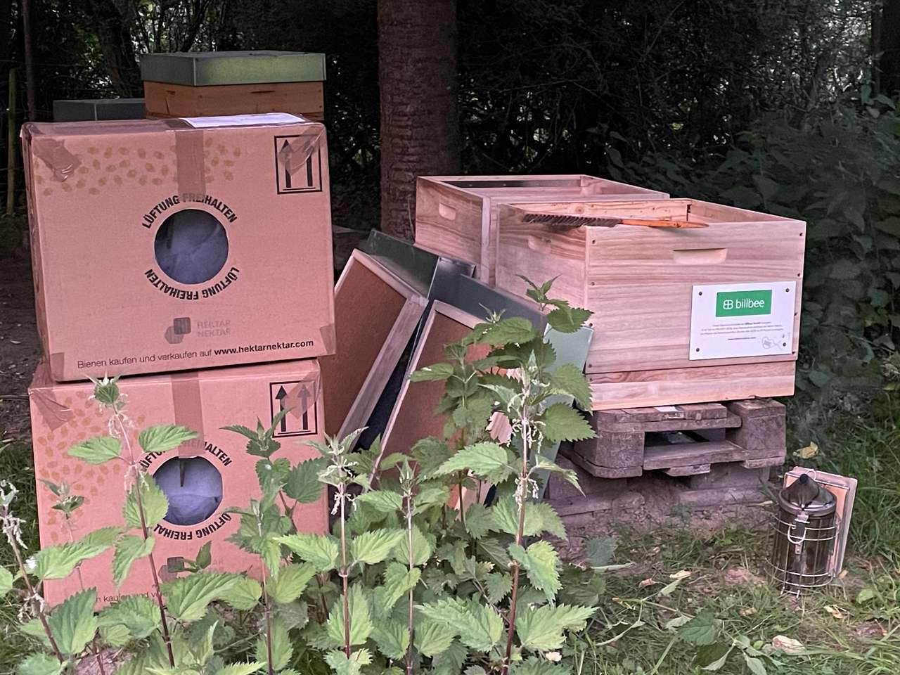 Alles neu macht der... Juni...