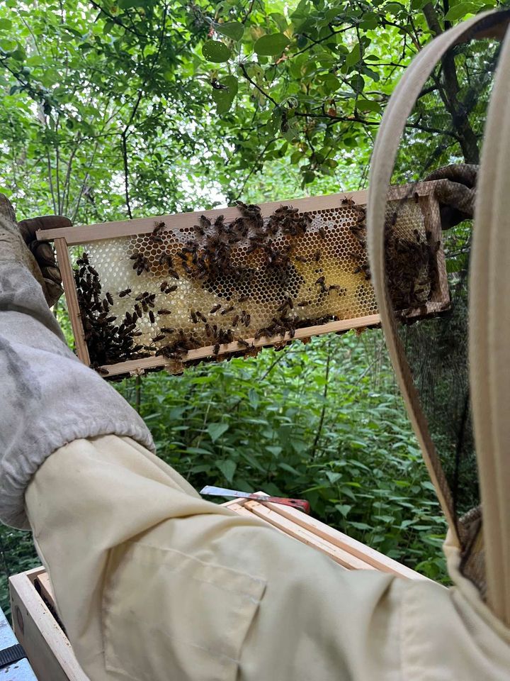 Alles neu macht der... Juni... Bild 2