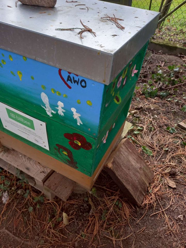 Die Bienen sind in Wintertraube