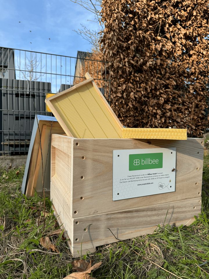 Das Bienenjahr beginnt!