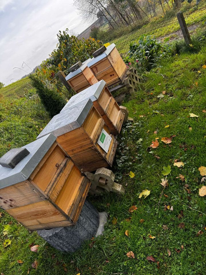 Die letzten Arbeiten für das Jahr stehen an