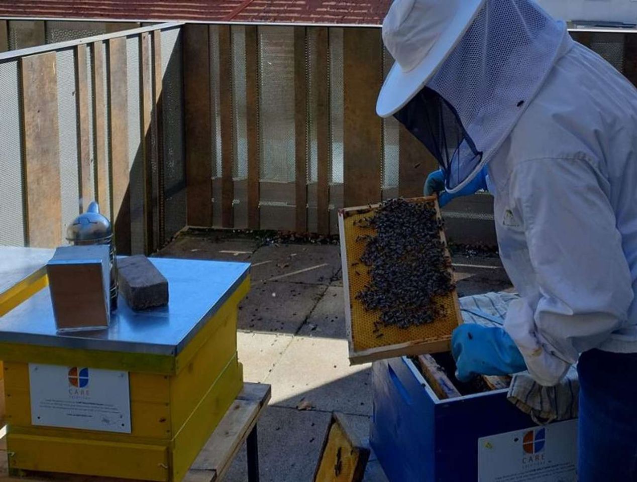 Der Lenz lässt grüßen! Bild 2