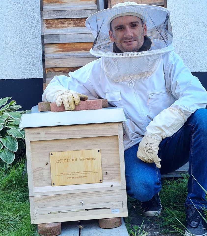 Einzug in der neuen Beute und Einfütterung für den Winter Bild 1