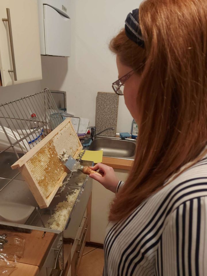 Honey harvest Bild 3